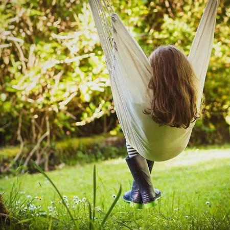 Apartament The Rose *