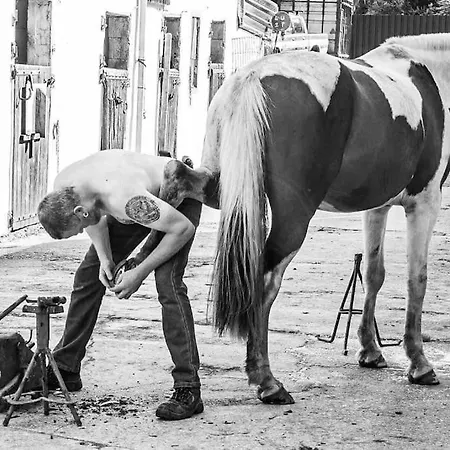 The Rose Apartament *