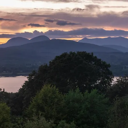 Apartament The Rose *