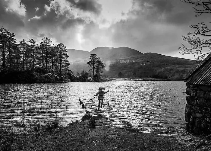 Apartment The Rose Kenmare