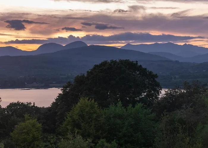 Apartment The Rose *